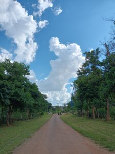Sky on the way to home