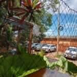 The view from my seat