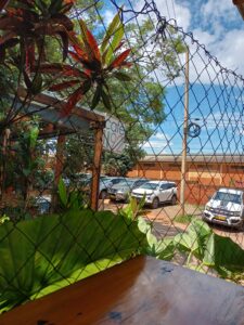 The view from my seat